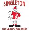 Singleton